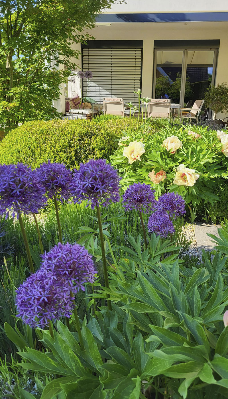 garten-impressionen-schmal-02